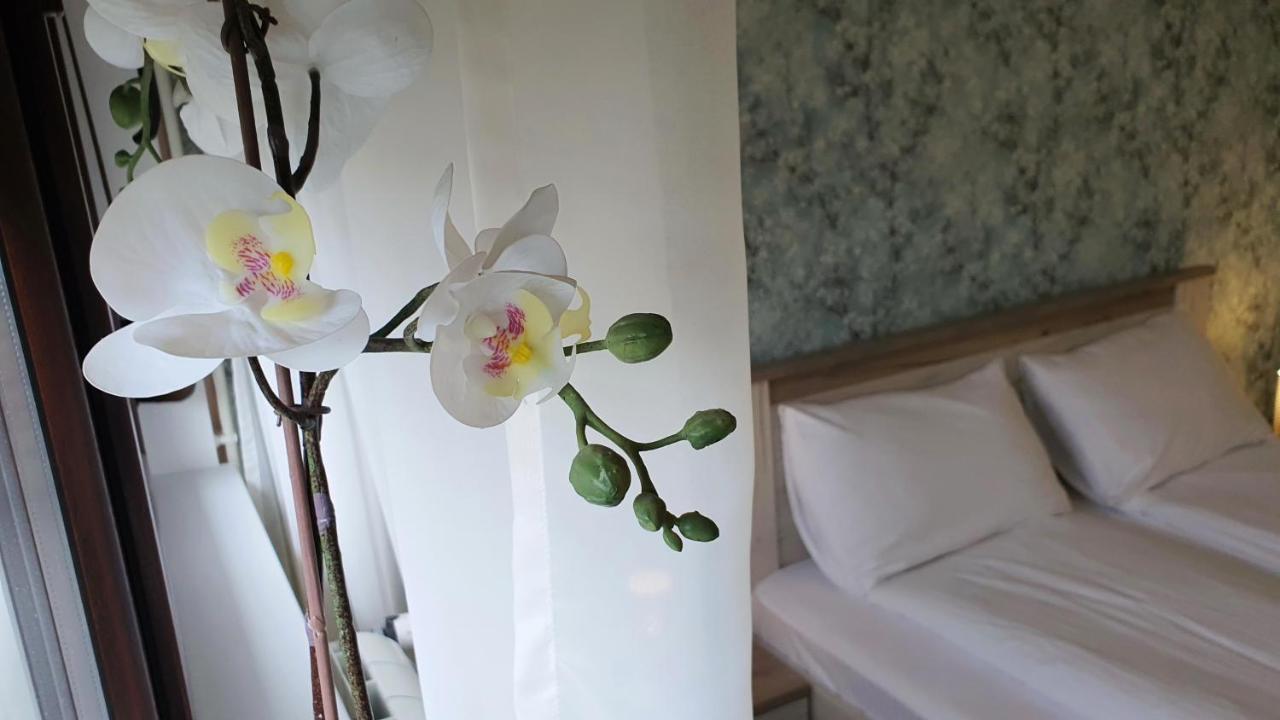 Apartments Spring Čačak Zewnętrze zdjęcie