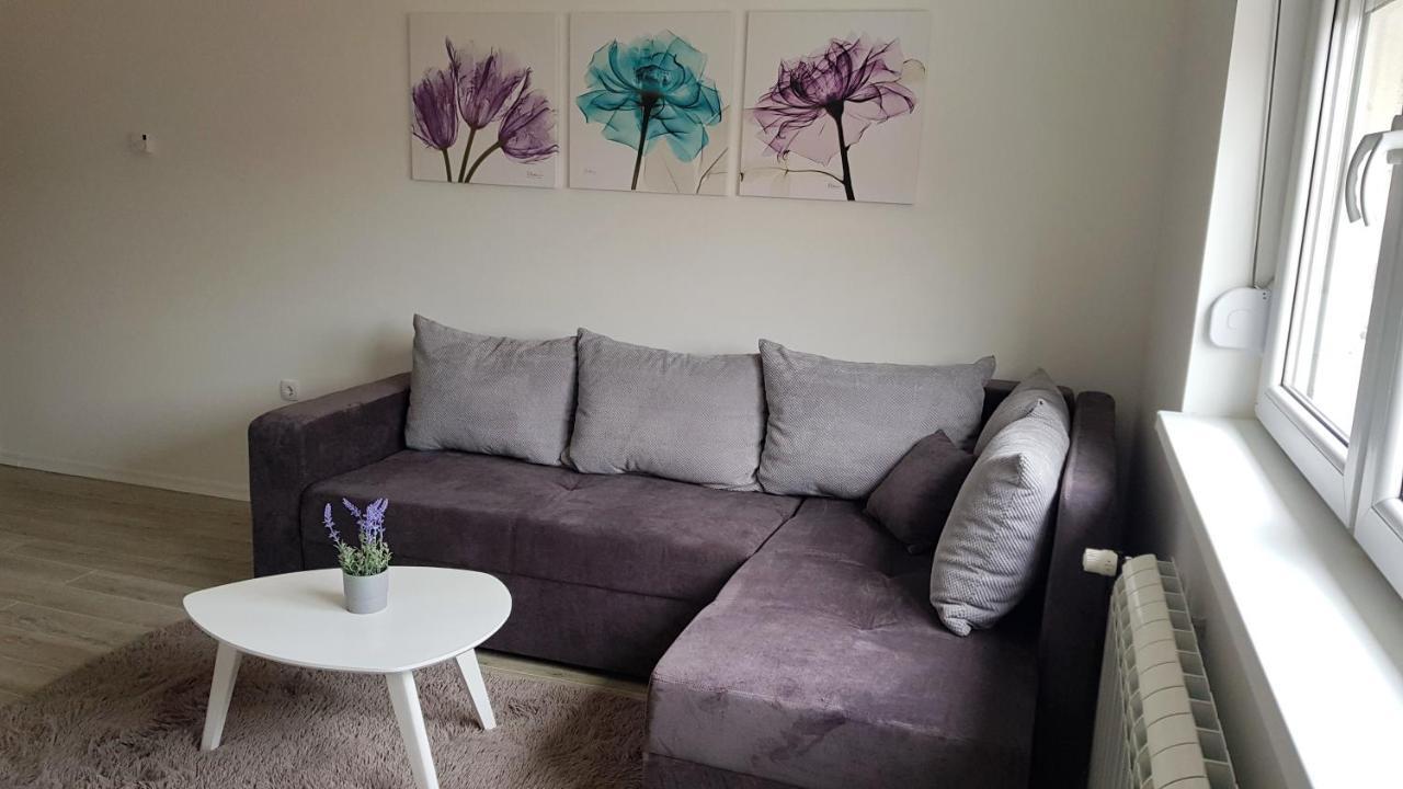 Apartments Spring Čačak Zewnętrze zdjęcie